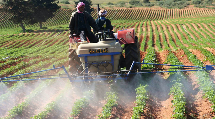 Conseil des ministres : les terres agricoles ne seront pas détournées de leur vocation  