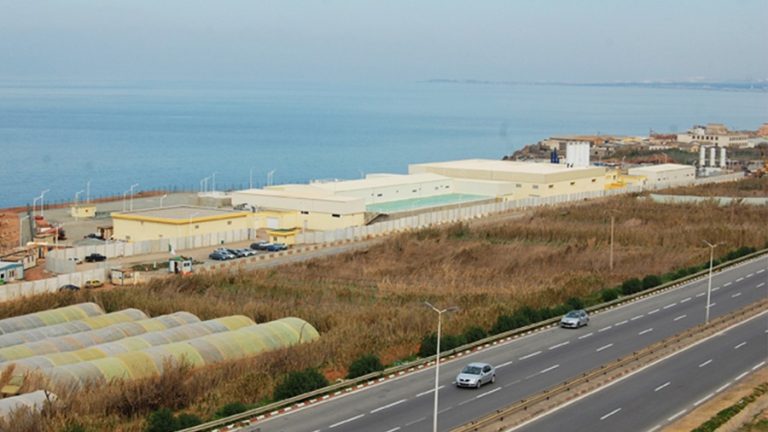 Fouka_FullImage_Image